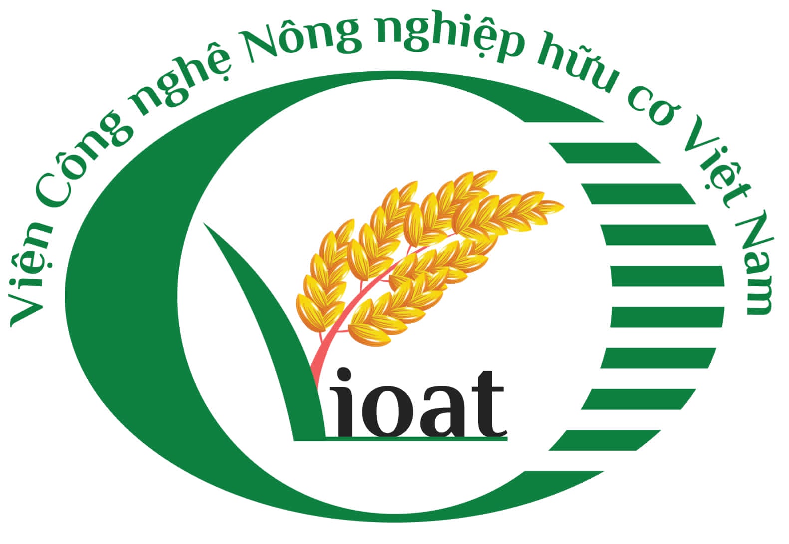 VIOAT Logo